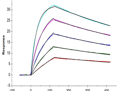 Mouse IL-18BP Protein (IL8-MM1BP)