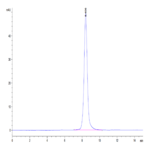Mouse IL-18 R1/CD218a Protein (IL8-MM1R1)