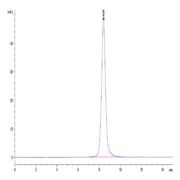 Mouse IL-18 R1/CD218a Protein (IL8-MM1R1)