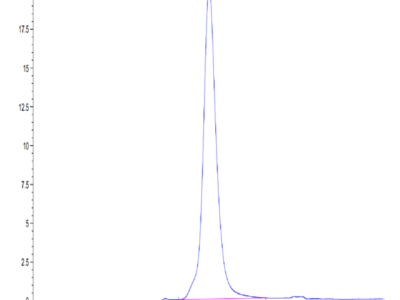 Mouse IL-18BP Protein (IL8-MM2BP)