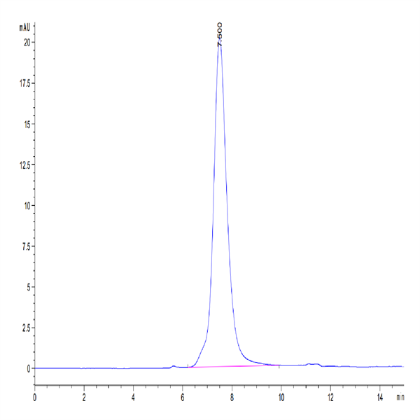 Mouse IL-18BP Protein (IL8-MM2BP) Mouse IL-18BP Protein (IL8-MM2BP)