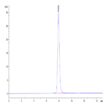 Human IL-19 Protein (IL9-HM219)