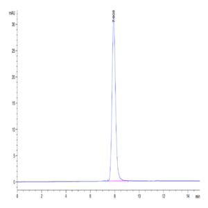 Human IL-19 Protein (IL9-HM219)