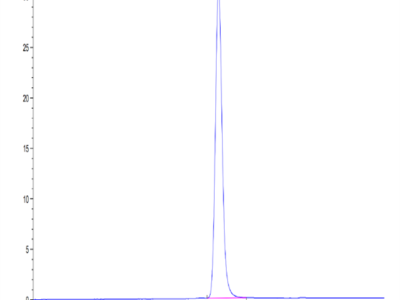 Human IL-19 Protein (IL9-HM219)