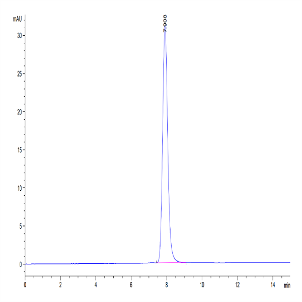 Human IL-19 Protein (IL9-HM219) Human IL-19 Protein (IL9-HM219)