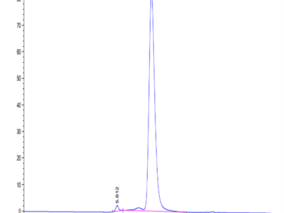 Mouse IL-9 Protein (IL9-MM201)