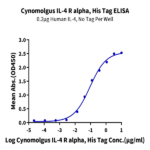 Cynomolgus IL-4 R alpha/CD124 Protein (ILA-CM14R)