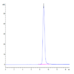 Cynomolgus IL-4 R alpha/CD124 Protein (ILA-CM14R)