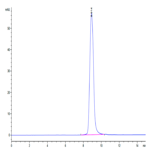 Cynomolgus IL-4 R alpha/CD124 Protein (ILA-CM14R)