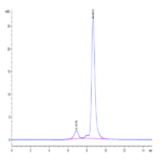 Cynomolgus IL-17A/CTLA-8 Protein (ILA-CM417)