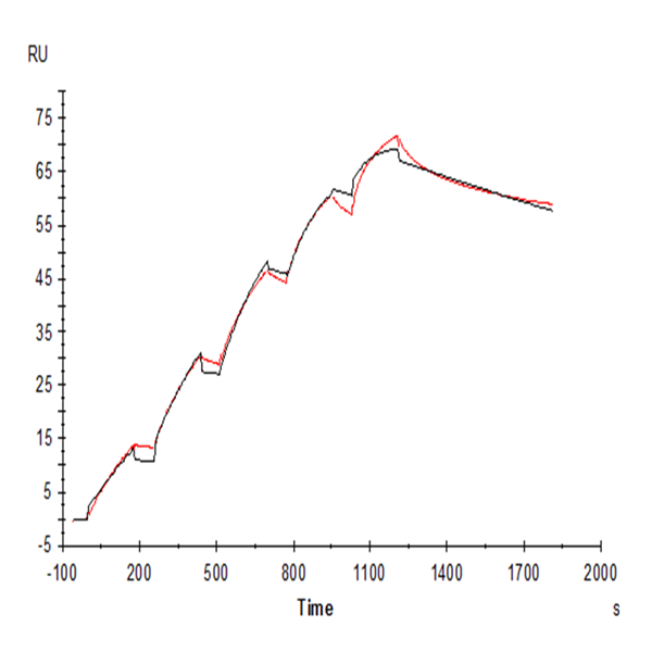 Human IL-17A/CTLA-8 Protein (ILA-HM118) Human IL-17A/CTLA-8 Protein (ILA-HM118)
