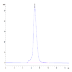 Human IL-4 R alpha/CD124 Protein (ILA-HM14R)