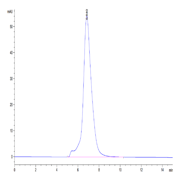 Human IL-4 R alpha/CD124 Protein (ILA-HM14R)