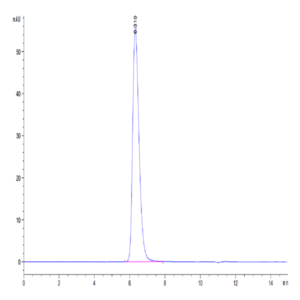 Human IL-4 R alpha/CD124 Protein (ILA-HM24R)