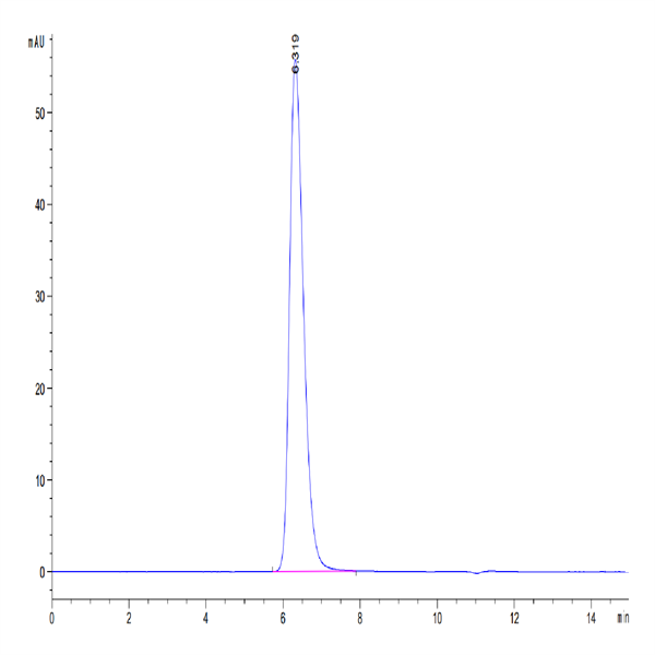 Human IL-4 R alpha/CD124 Protein (ILA-HM24R)