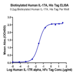 Biotinylated Human IL-17A/CTLA-8 Protein (ILA-HM418B)