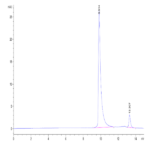 Human IL-37b Protein (ILB-HE037)