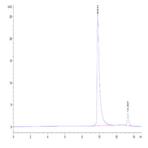 Human IL-37b Protein (ILB-HE037)