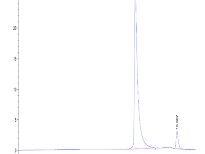 Human IL-37b Protein (ILB-HE037)