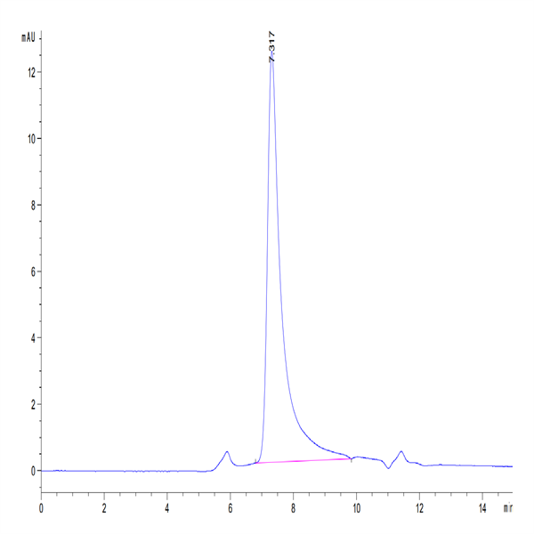 Human IL-23 alpha&Mouse IL-12 beta Protein (ILB-HM4AB)