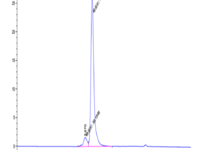 Human ILDR2 Protein (ILD-HM202)