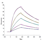 Cynomolgus IL-17F Protein (ILF-CM117)