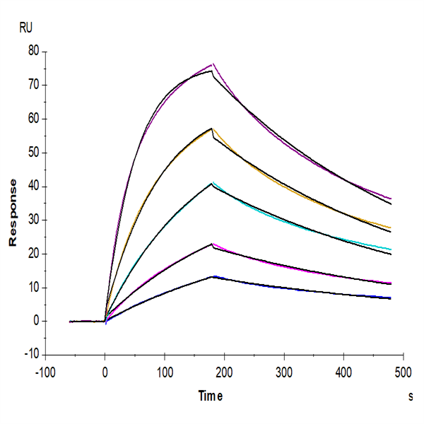 Cynomolgus IL-17F Protein (ILF-CM117) Cynomolgus IL-17F Protein (ILF-CM117)
