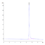 Cynomolgus IL-17F Protein (ILF-CM117)