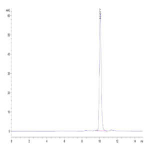 Human IL-1F10/IL-38 Protein (ILF-HE138)