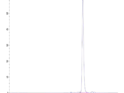 Human IL-1F10/IL-38 Protein (ILF-HE138)