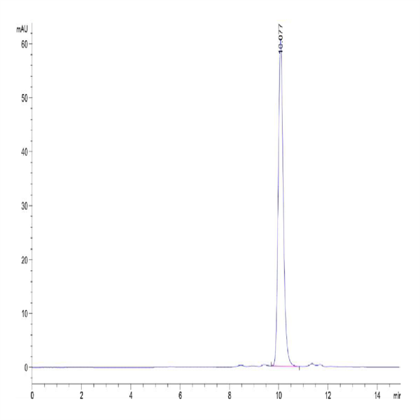 Human IL-1F10/IL-38 Protein (ILF-HE138) Human IL-1F10/IL-38 Protein (ILF-HE138)