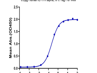 Biotinylated Human IL-17A&F Protein (ILF-HM418B)