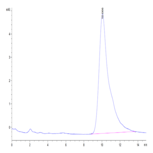Mouse IL-17F Protein (ILF-MM417)