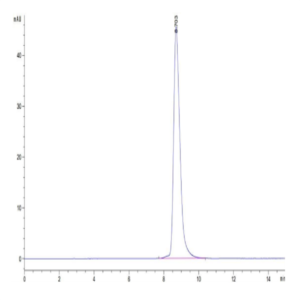 Cynomolgus IL-21R Protein (ILR-CM121)