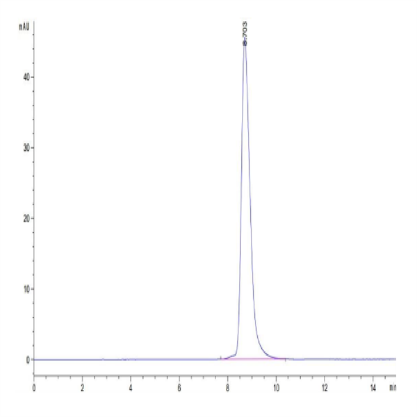 Cynomolgus IL-21R Protein (ILR-CM121)