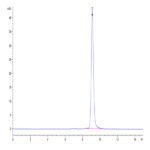 Cynomolgus IL-22R alpha 1 Protein (ILR-CM122)