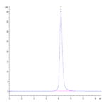 Cynomolgus IL-13Ra1 Protein (ILR-CM1R1)