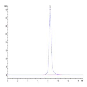 Cynomolgus IL-13Ra1 Protein (ILR-CM1R1)
