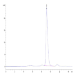 Cynomolgus IL-1R3/IL-1 RAcP Protein (ILR-CM1R3)
