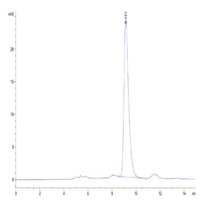 Cynomolgus IL-1R3/IL-1 RAcP Protein (ILR-CM1R3)