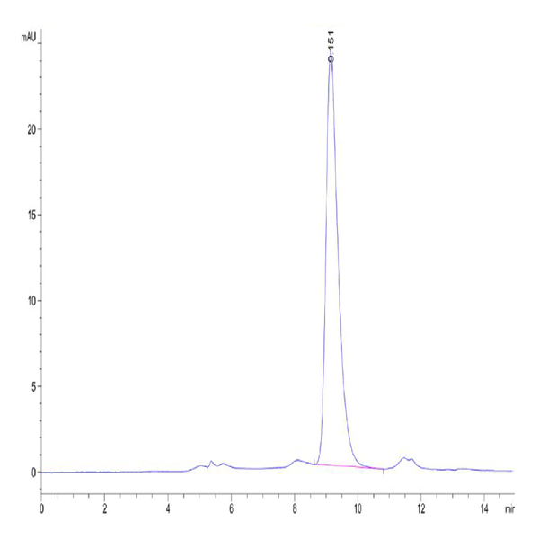 Cynomolgus IL-1R3/IL-1 RAcP Protein (ILR-CM1R3)