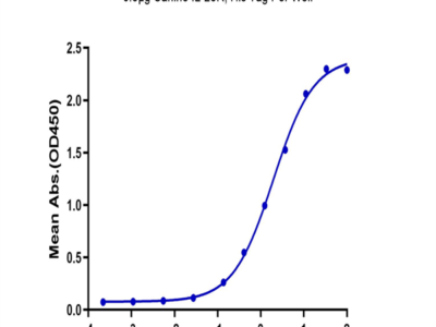 Canine IL-23R Protein (ILR-DM123)