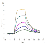 Human IL-11R alpha Protein (ILR-HM111)