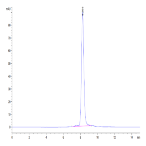 Human IL-11R alpha Protein (ILR-HM111)