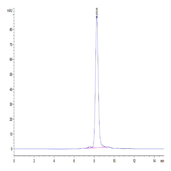 Human IL-11R alpha Protein (ILR-HM111)