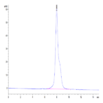 Human IL-12 R beta 1/CD212 Protein (ILR-HM112)