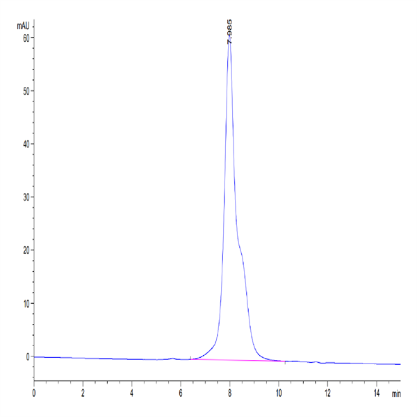 Human IL-12 R beta 1/CD212 Protein (ILR-HM112)