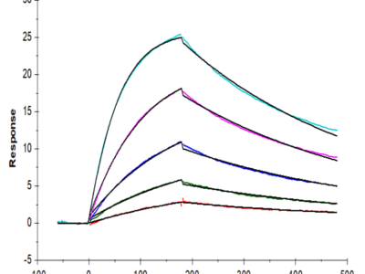 Human IL-27RA/TCCR Protein (ILR-HM127)