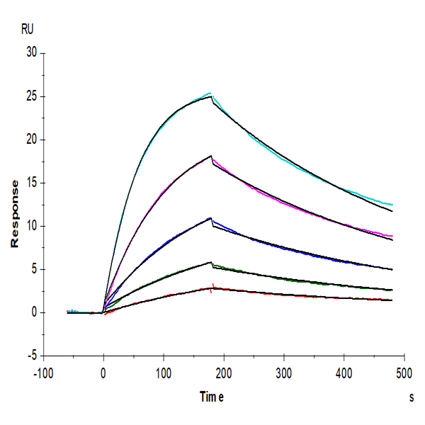 Human IL-27RA/TCCR Protein (ILR-HM127) Human IL-27RA/TCCR Protein (ILR-HM127)