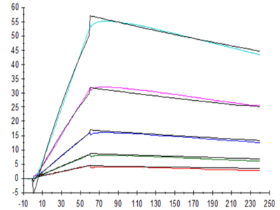 Human IL-31 RA Protein (ILR-HM1RA)